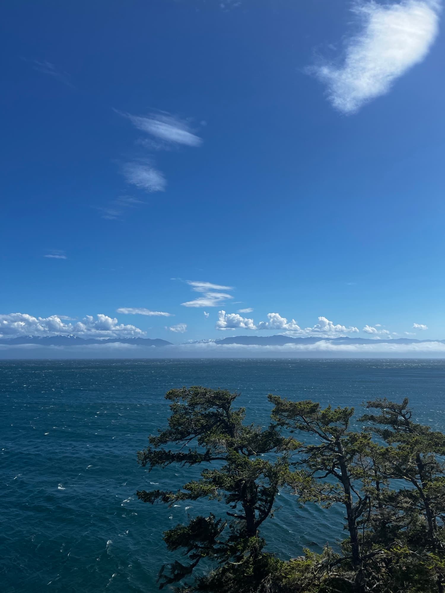 Ocean coastline